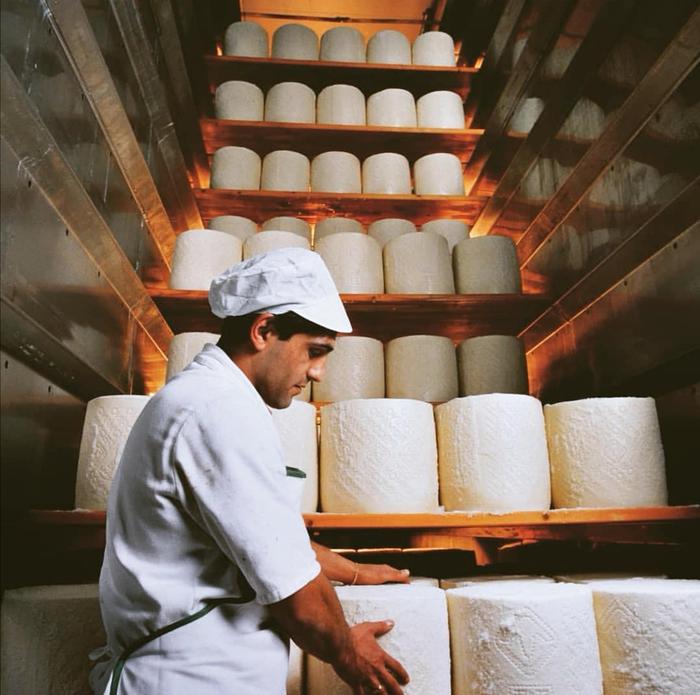 Prezzo del pecorino alle stelle, supera il parmigiano